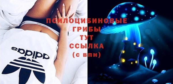 мет Карпинск