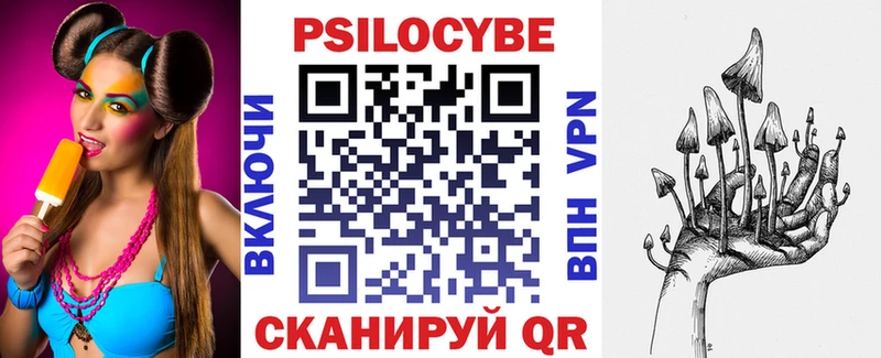Купить закладки  Верхний Тагил  Псилоцибиновые грибы Psilocybe 